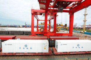宁波港每周两组以上冷链货物运作实现常态化