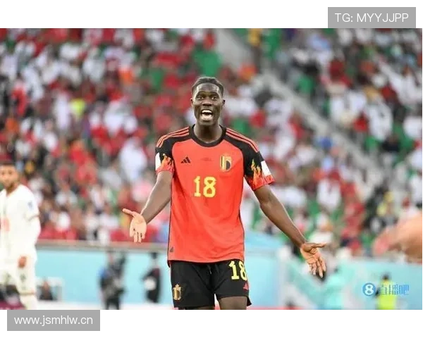 奥纳纳：从新星到比利时主力的地位跃升解析